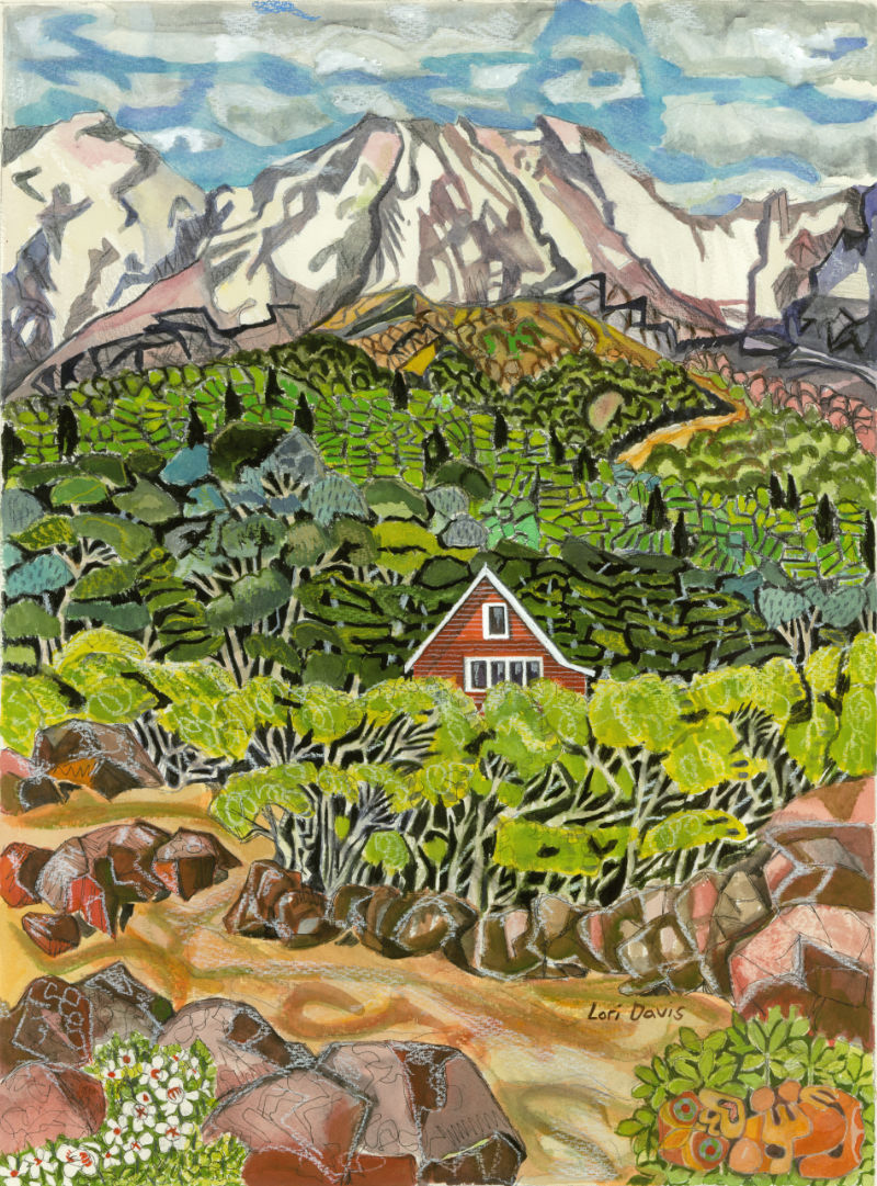 Ruapehu trampers Hut.