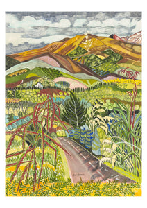 Mount Tongariro, road to summer hiking.